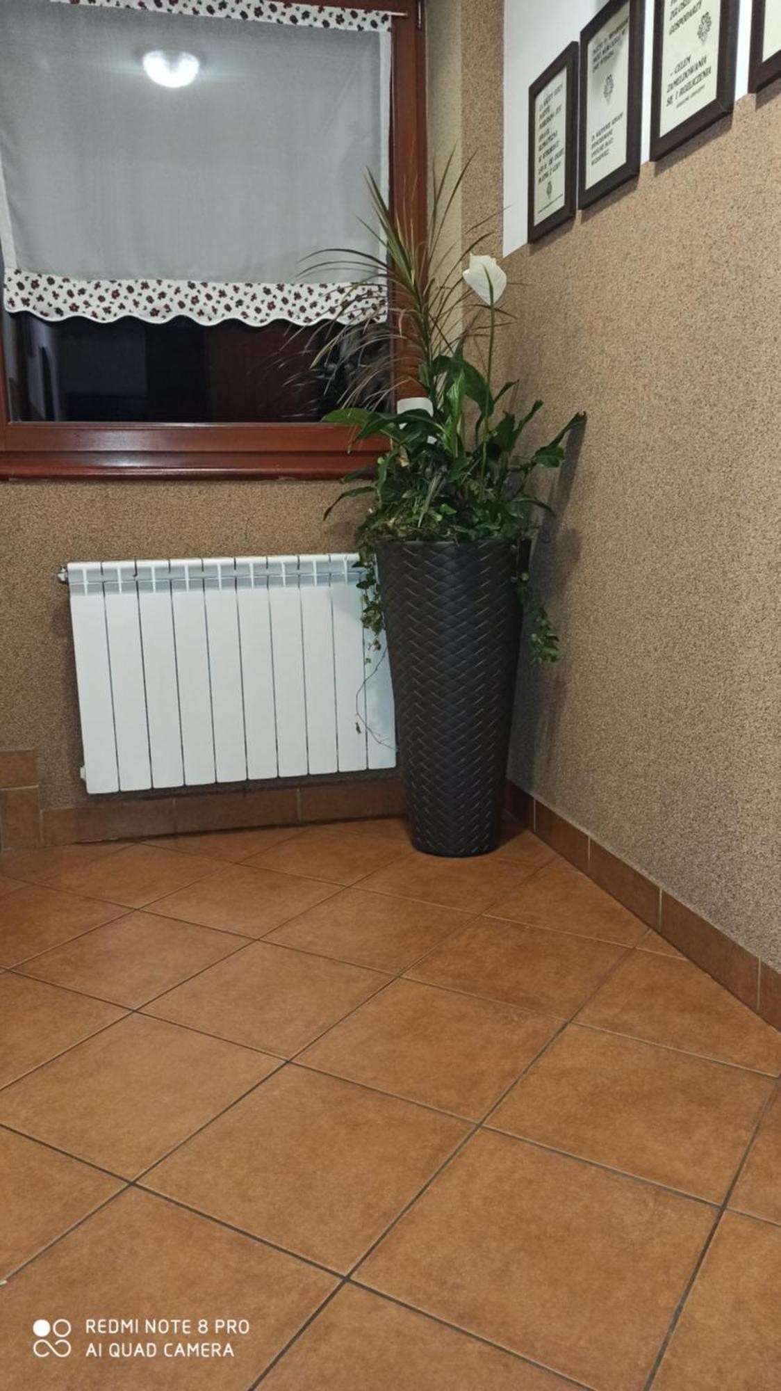 Hotel U Hajduka Murzasichle Zewnętrze zdjęcie